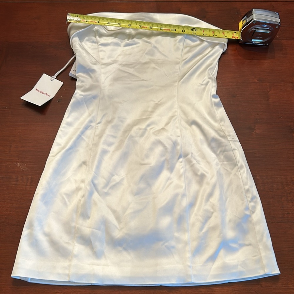 NWT Aritzia Sunday Best shimmer tube ldress size 8 - Picture 4 of 13